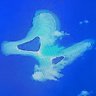 合格~(゚ー゚*)❇️ profil fotoğrafı