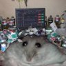 Goobie BigBust 的头像