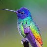Фото профиля Rafaela Sanders
