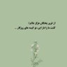 Sayed javid Musavi's profile picture