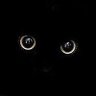 She/Purr profil fotoğrafı
