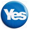 Lesley McGilvary's profile picture