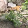 सामान्य करदाता कवट्या महाकाल's profile picture