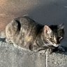 ひよこ//'s profile picture
