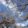 えんがわ profil fotoğrafı