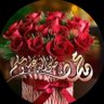 amr galal 的头像