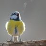 8in / / Aidan 🌧️🕉️ profil fotoğrafı