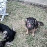 Max's profile picture