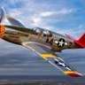Profilbild von PDD51Mustang