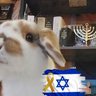 Nera Berg ✡🇮🇱🎗🟧🏳️⚧️ 🇺🇦 的头像