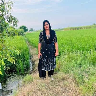 seema Beniwal's profile picture