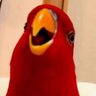 scott's profile picture