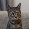 りょーちん profil fotoğrafı