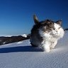 YupYup profil fotoğrafı