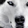 Profilbild von FconejeraC