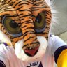 mikeIV 的头像