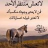 اسامه احمد's profile picture
