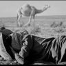 Фото профиля إعلامي البدو