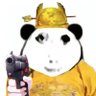 Leesirs profil fotoğrafı