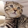 まりちゃんねる's profile picture