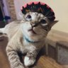 Mordo's profile picture
