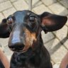 Profilbild von Chris & Remy