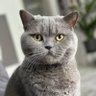 Profilbild von Miss Kafkaesque