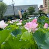 Фото профиля なんも