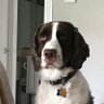 CDok5927's profile picture