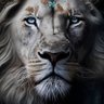 CH_Brandão profil fotoğrafı