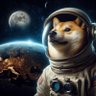 leo2018 的头像