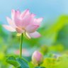 Фото профиля xie