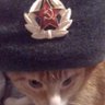 basedgoldfish's profile picture