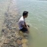 M.Farhan's profile picture