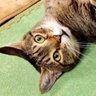 モナミ💕 レイくん's profile picture