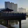 brassf123(互fo互赞) 的头像