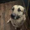 m profil fotoğrafı