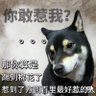Profilbild von 托特罗不一定