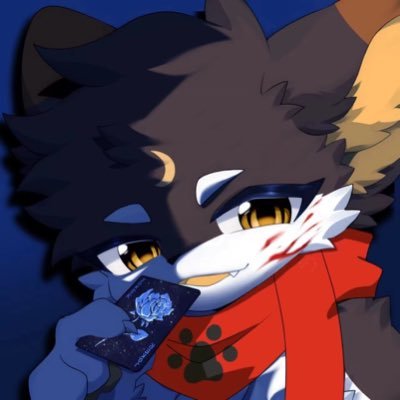 七全月's profile picture