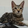 澤 profil fotoğrafı