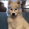 Mark1's profile picture