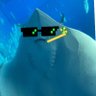 🕶️しぃーさ 的头像