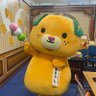 Profilbild von まゆっち🐣🀄