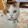 がるば profil fotoğrafı