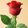 Фото профиля Marah only