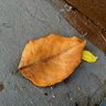 Khunta's profile picture