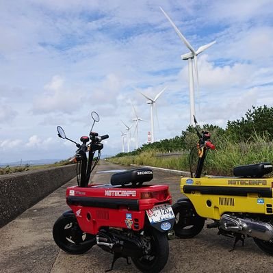 lovecubmotoco's profile picture
