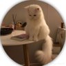 Profilbild von Abdul Basit