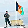 Musa Mohsin🇦🇫's profile picture