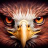 Фото профиля Hawk Eye